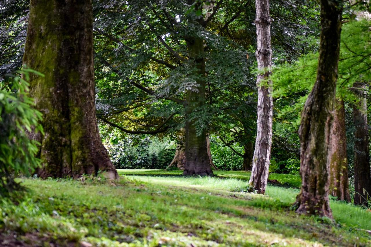 Villa Solatia Caldogno ภายนอก รูปภาพ